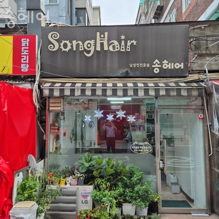 송헤어 이미지