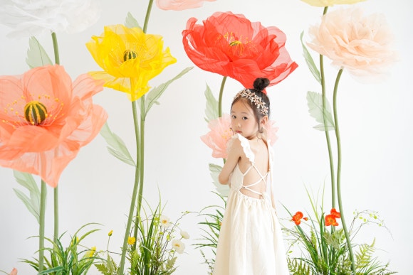 스튜디오 양귀비 이미지