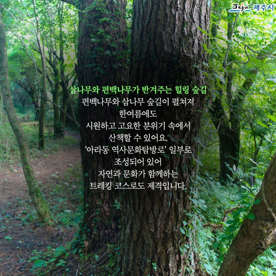 힐링오름 이미지