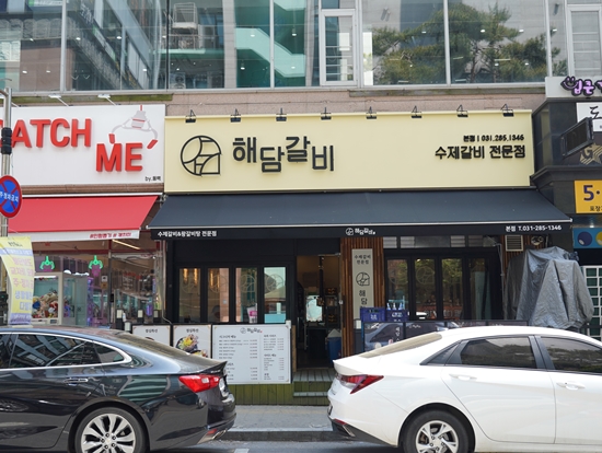 동백양과 이미지