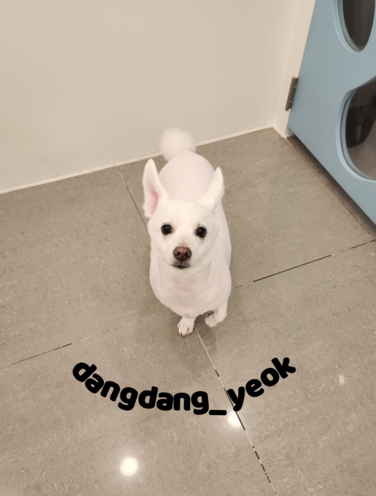 토리미용실 이미지