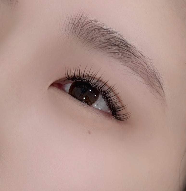 천사속눈썹 이미지