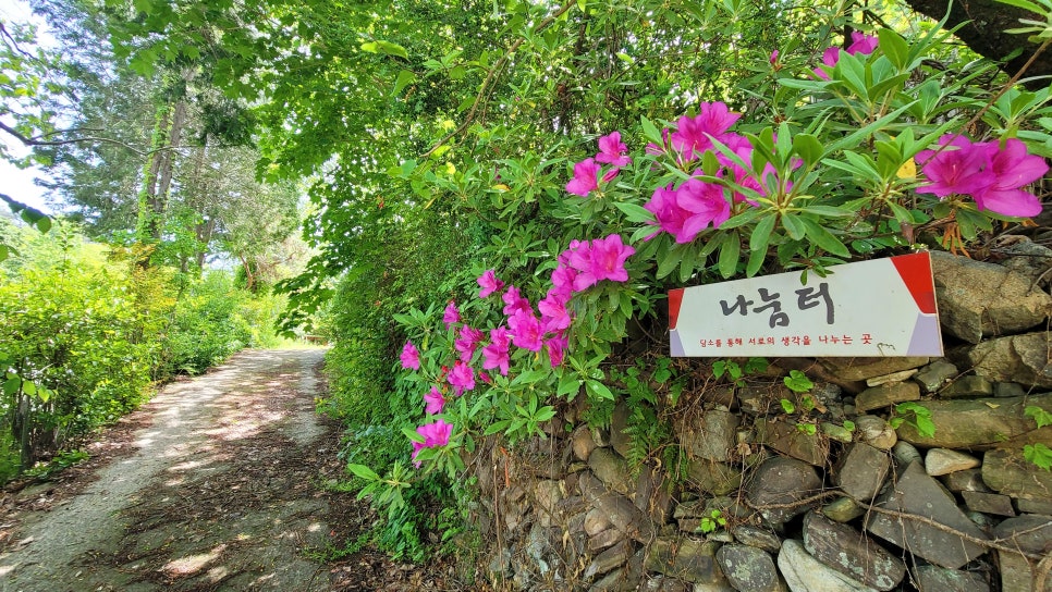 연촌 이미지