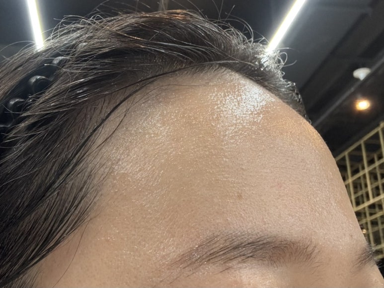 르네셀비앙 이미지