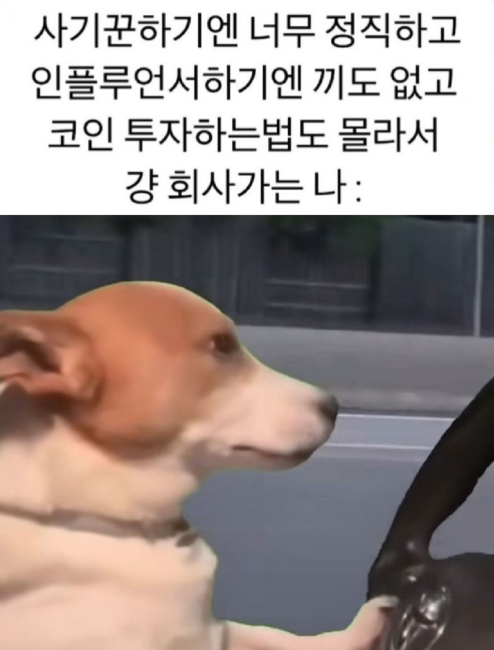 코인 이미지