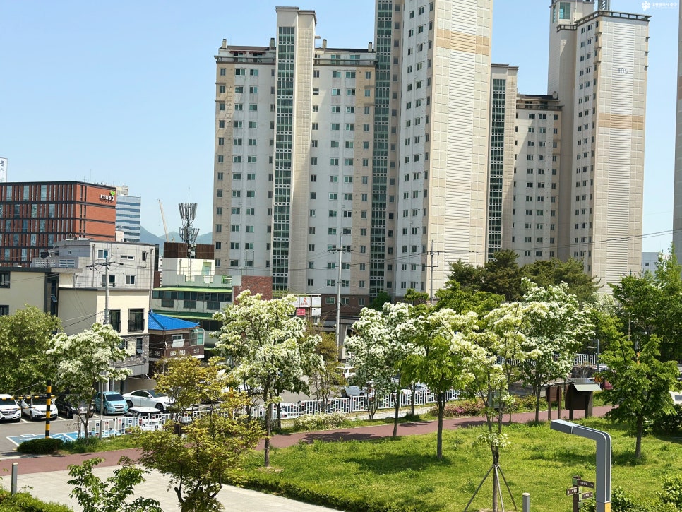 마로니에쉼터 이미지