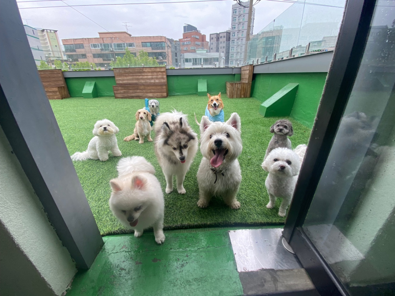 오꼬미 이미지