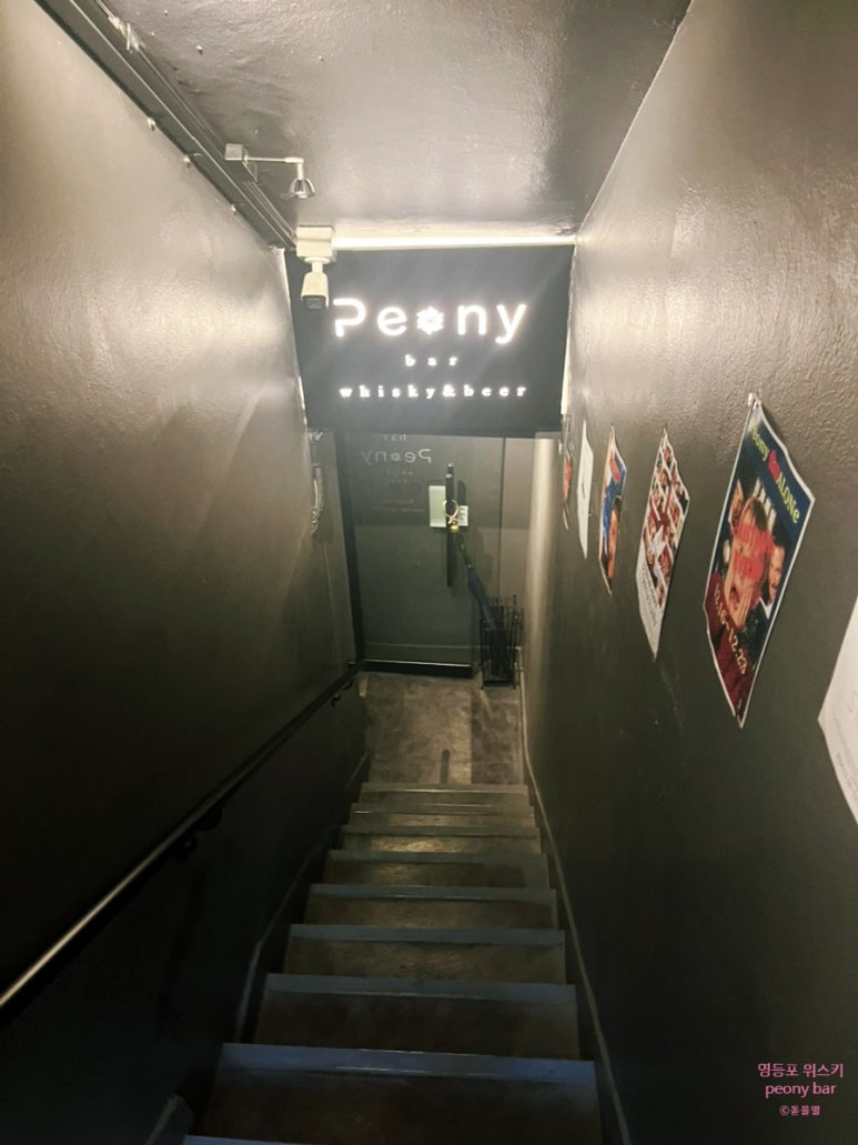 피오니바 이미지