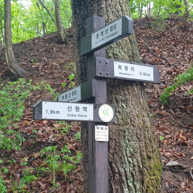 관중 군락지 이미지
