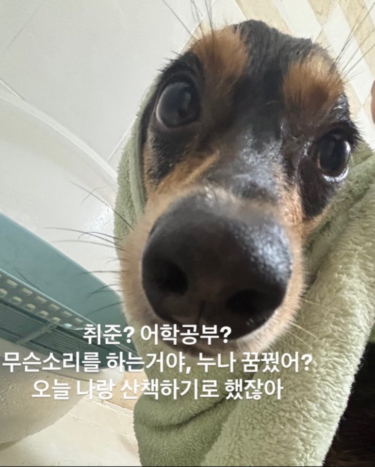 그리고경주 이미지