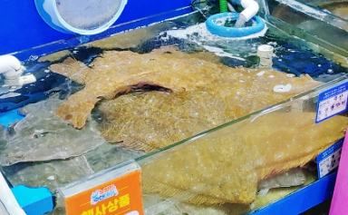 대운상회 이미지