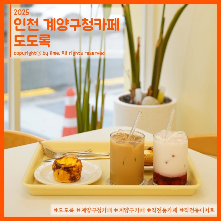도도록 이미지