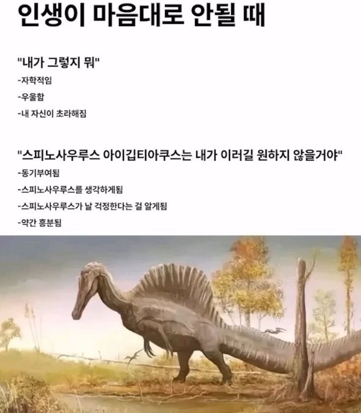 도마도마도 이미지