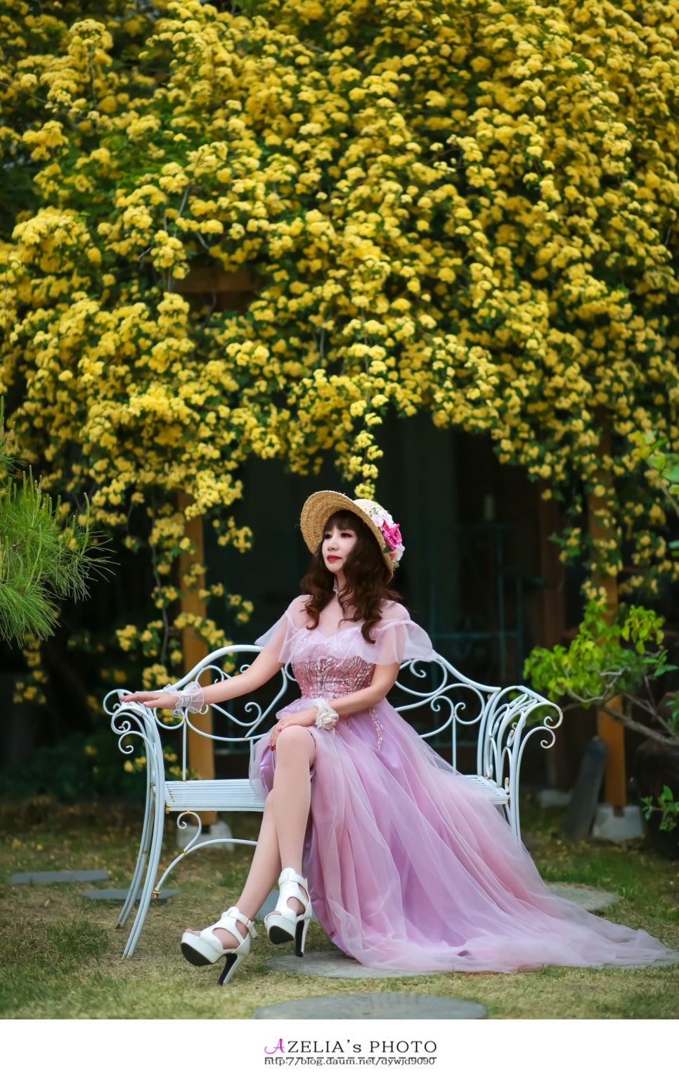카페25 이미지