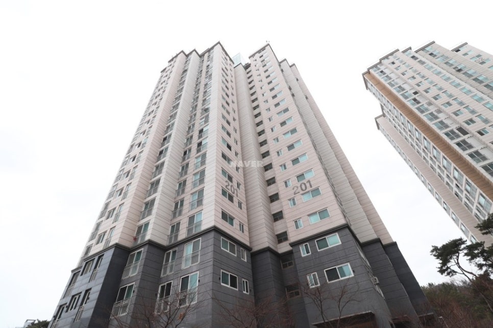 대전계산초등학교 이미지