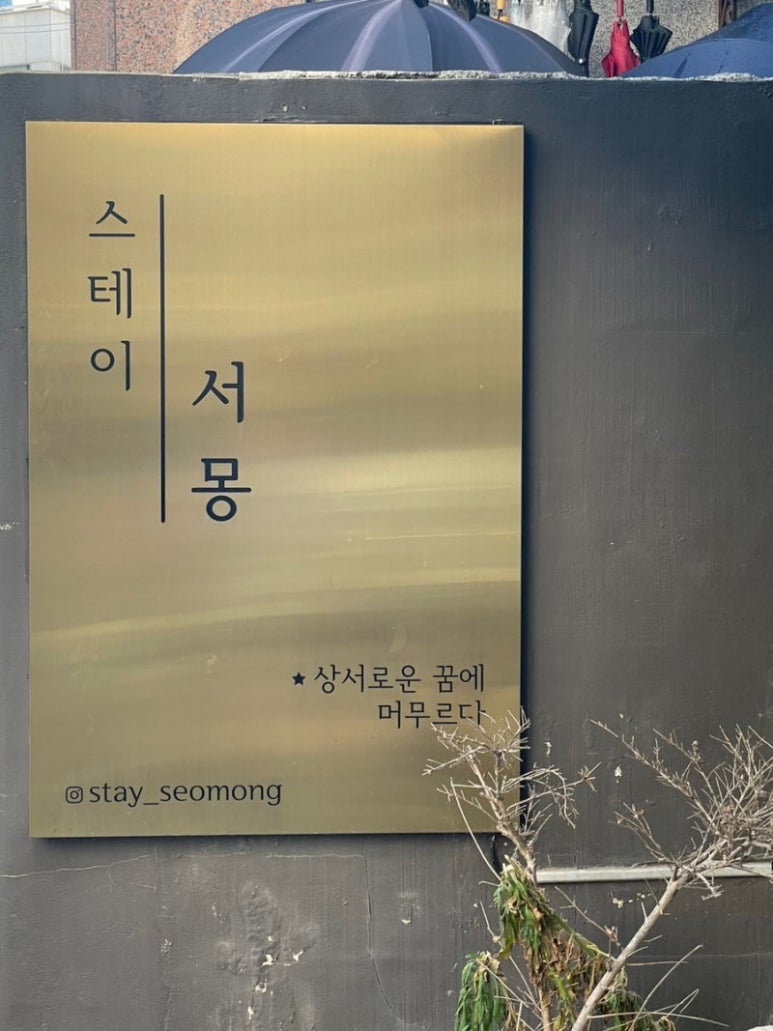 서몽 이미지