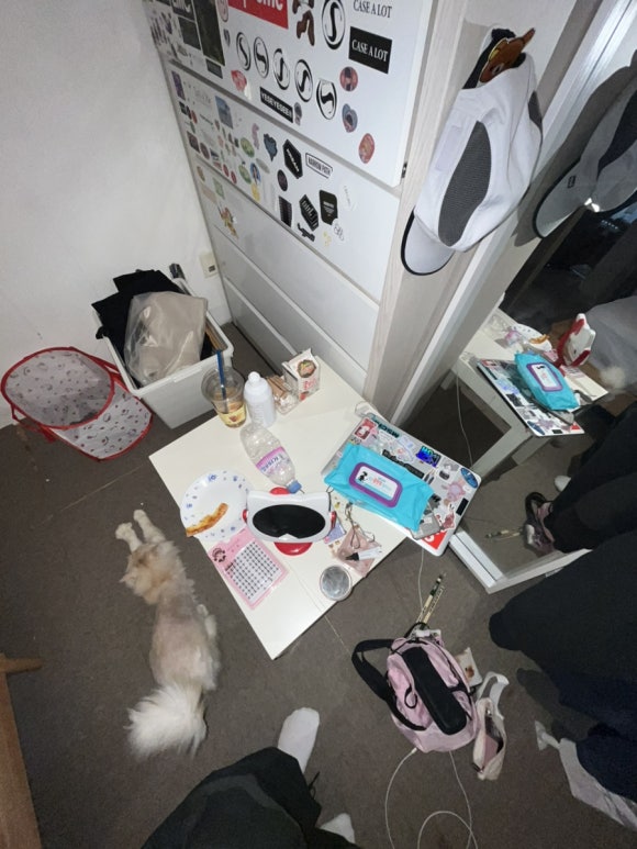 수련속눈썹 이미지