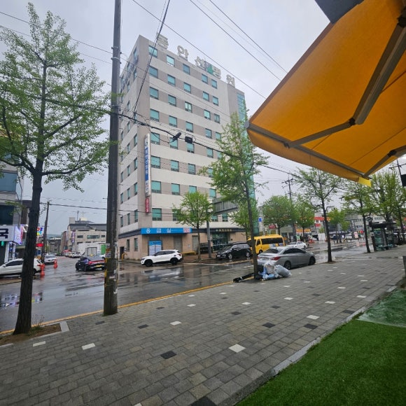 안산 월피동 머리 잘하는 "루미 헤어" 클리닉 후기