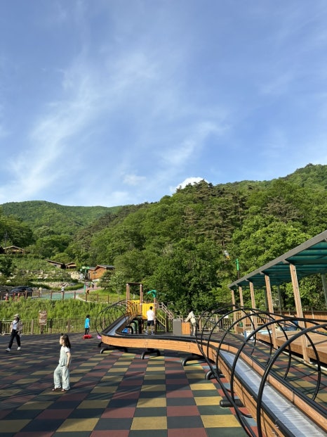영숙이네족발집 이미지
