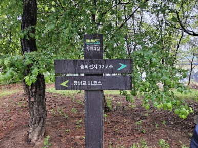 DMZ 평화의 길 8코스 (예약노선) 이미지