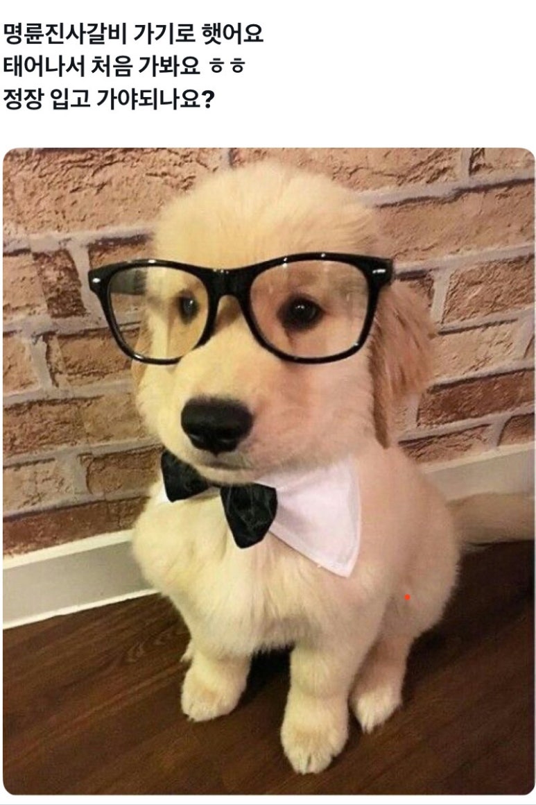 오분 이미지