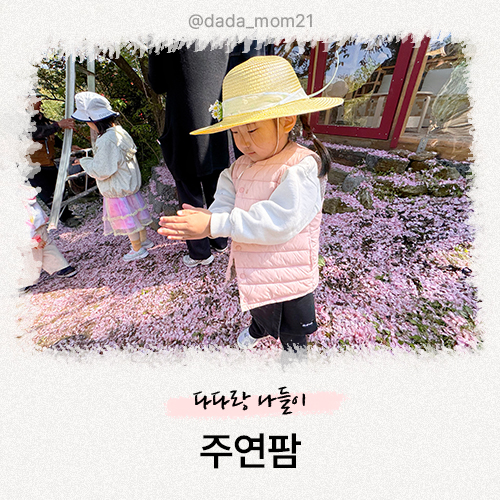 주연팜 이미지