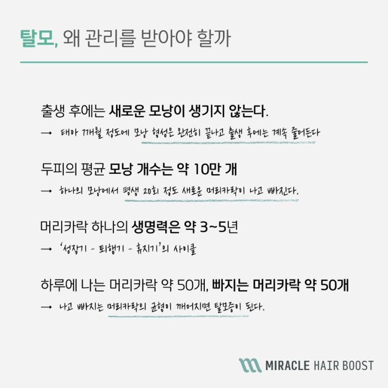 모오브 이미지