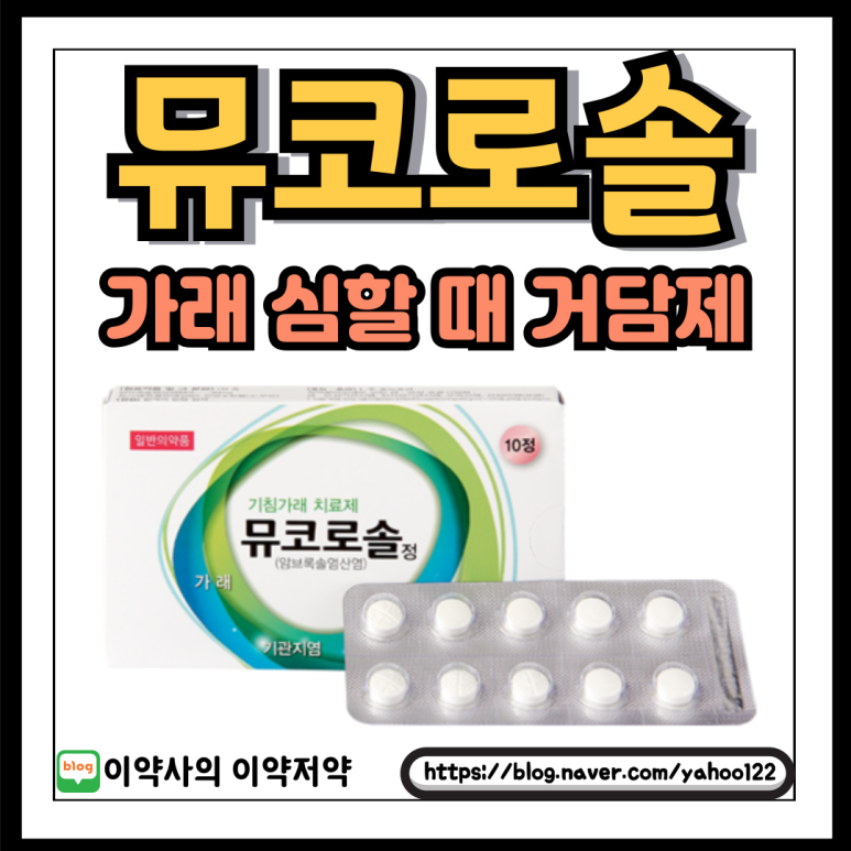 솔정 이미지