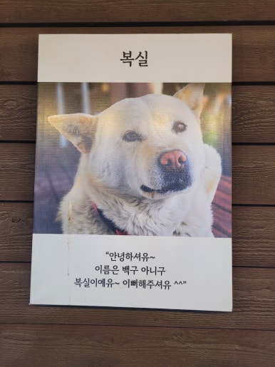 복실이 한정식 이미지