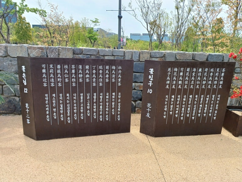(茶:)다미 이미지