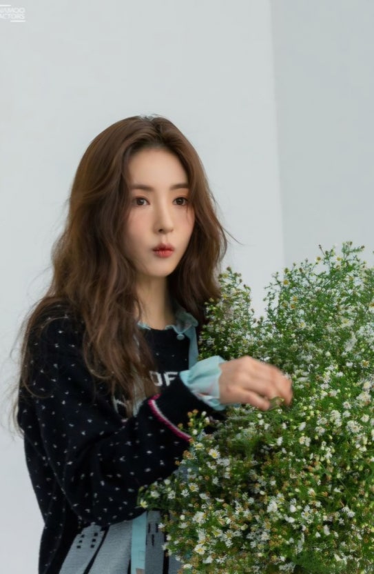 세나미용실 이미지