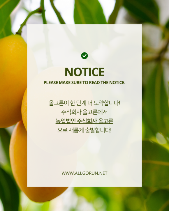 주식회사 더올 이미지