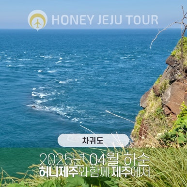 제주다정여행사 이미지