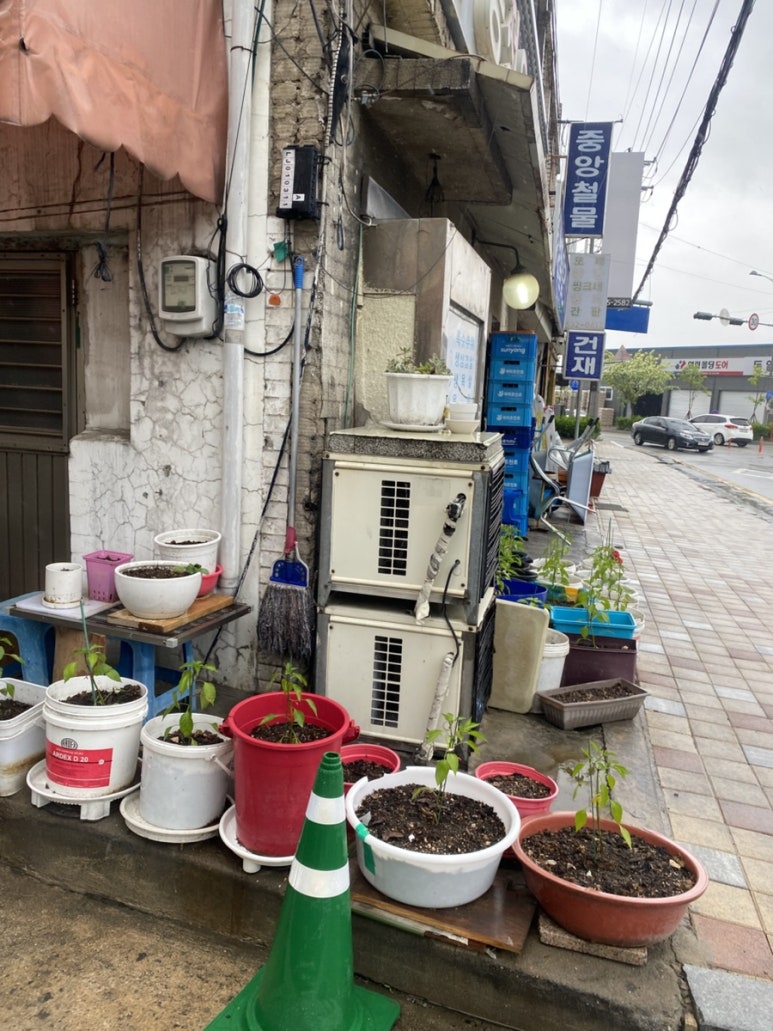 대동식당정육 이미지