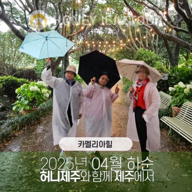 제주다정여행사 이미지
