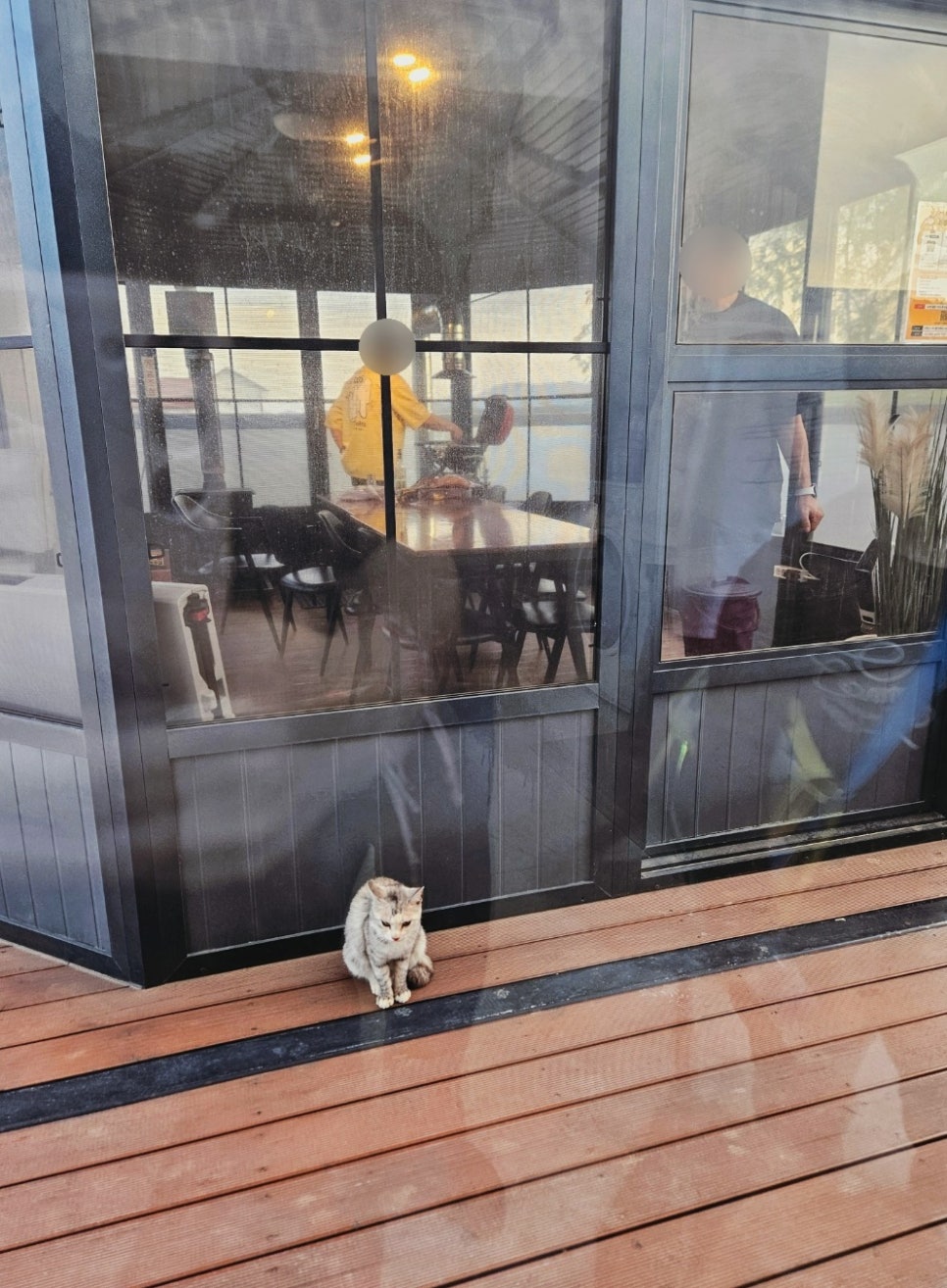 누아르블랑 이미지