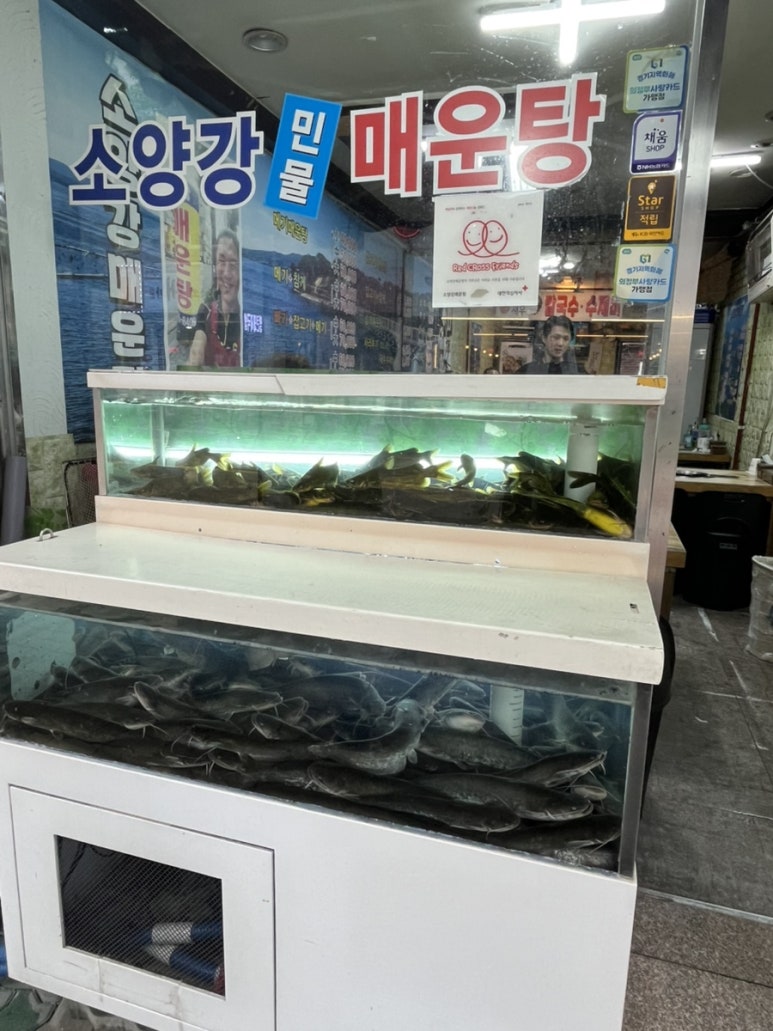 의정부민물고기 이미지