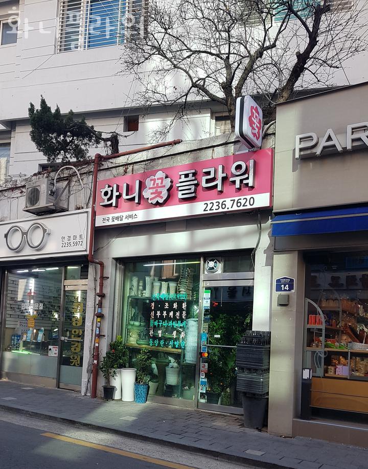 화니플라워 이미지