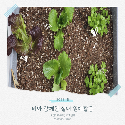 9988주간복지센터 이미지
