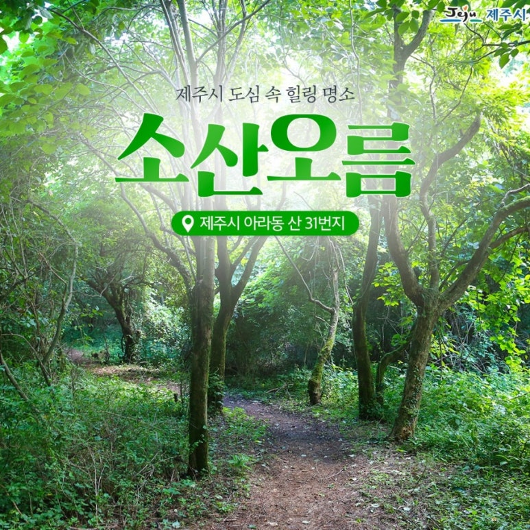 힐링오름 이미지