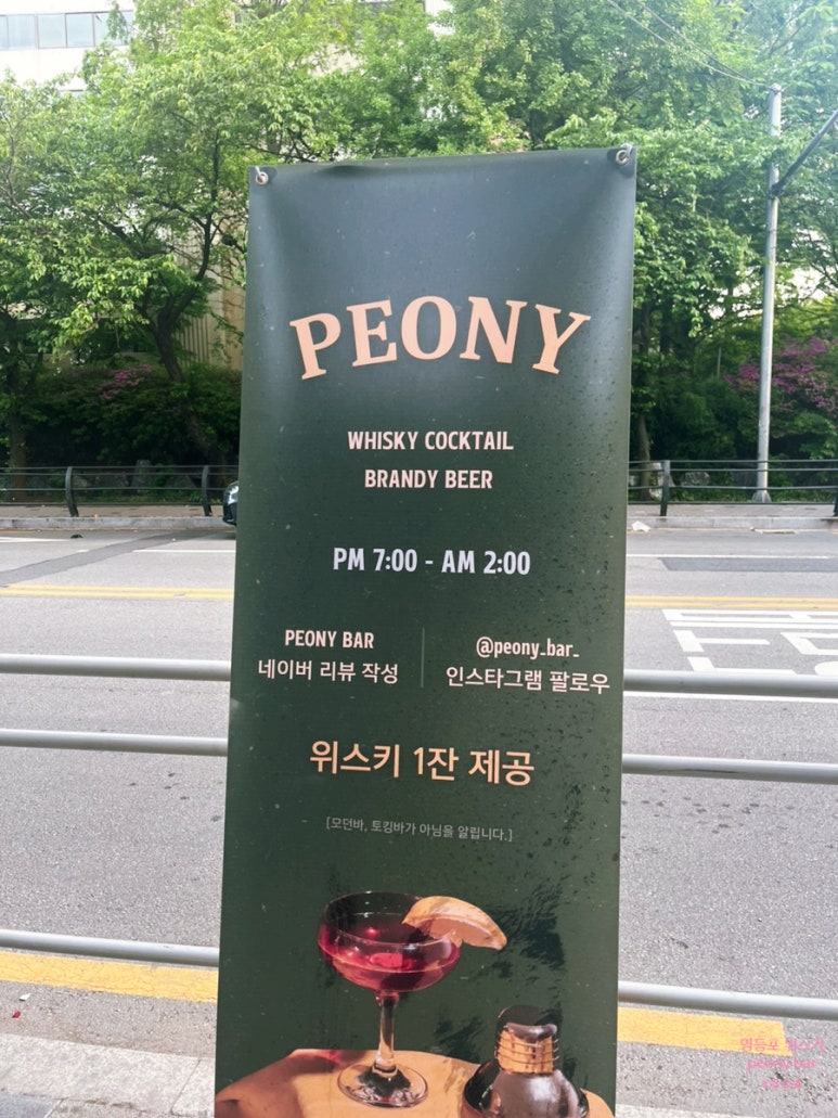 피오니바 이미지