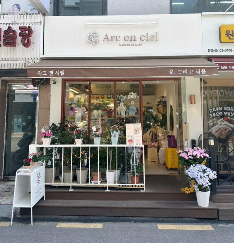 아크앤시엘 이미지