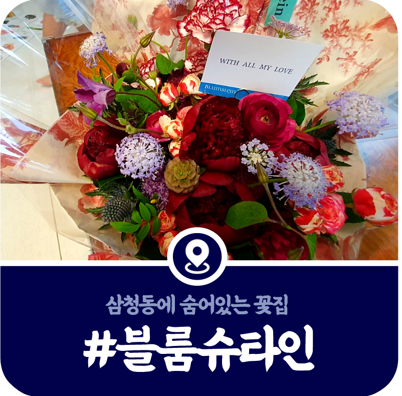 블룸슈타인 이미지