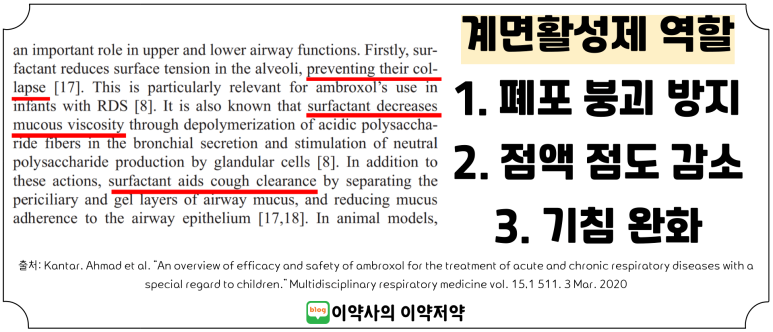 솔정 이미지