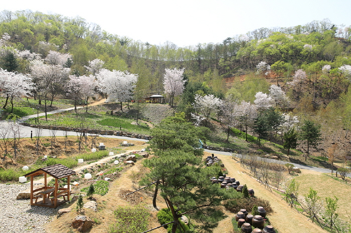 숲속 이미지