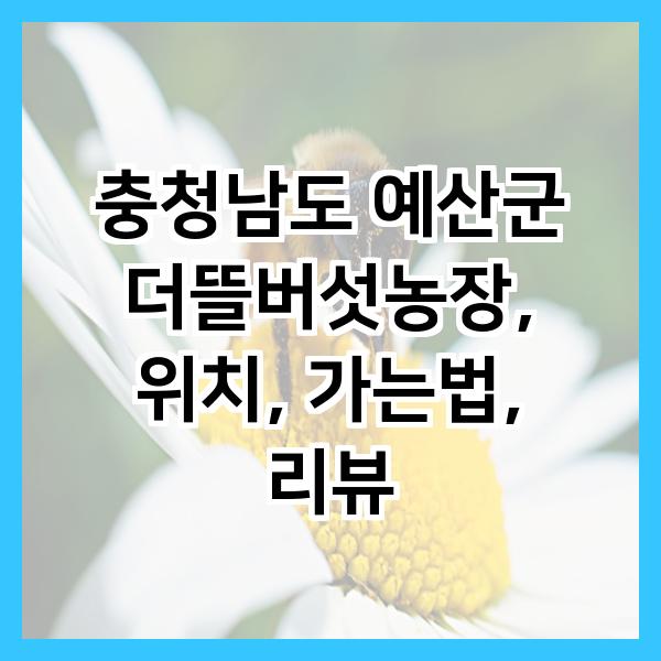 더뜰 이미지