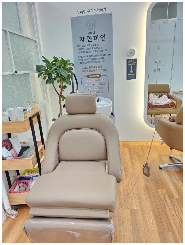 열바나자연미인 이미지