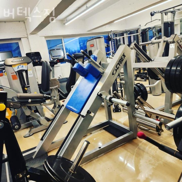 버텍스짐 이미지