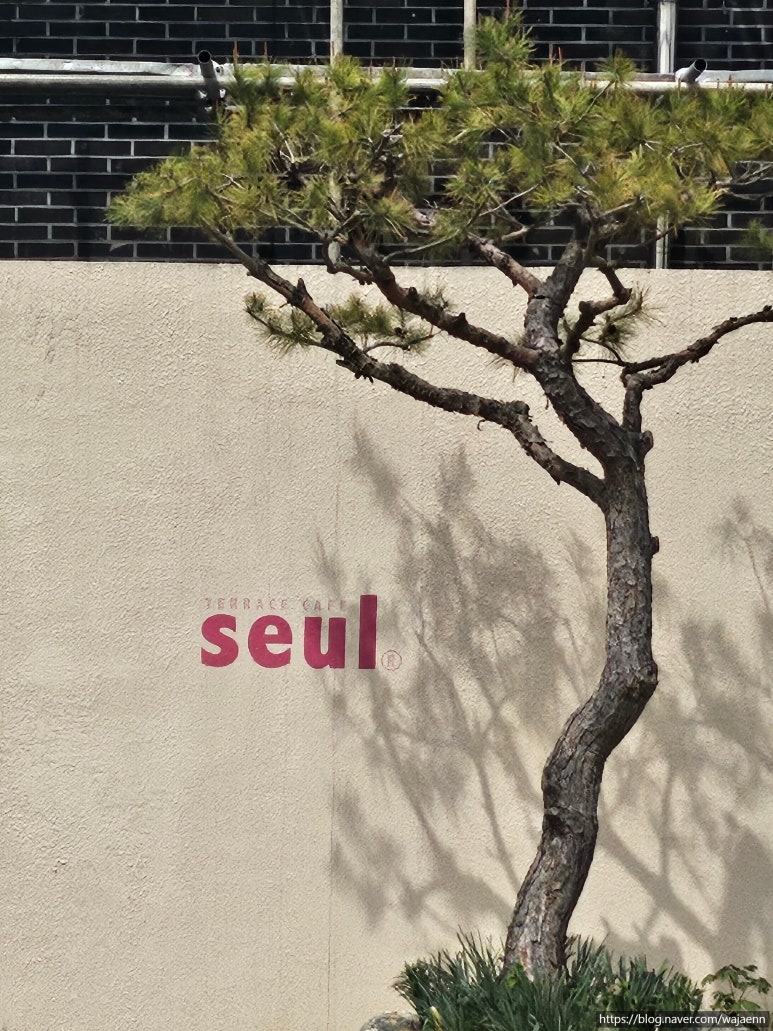 솔티선셋 이미지
