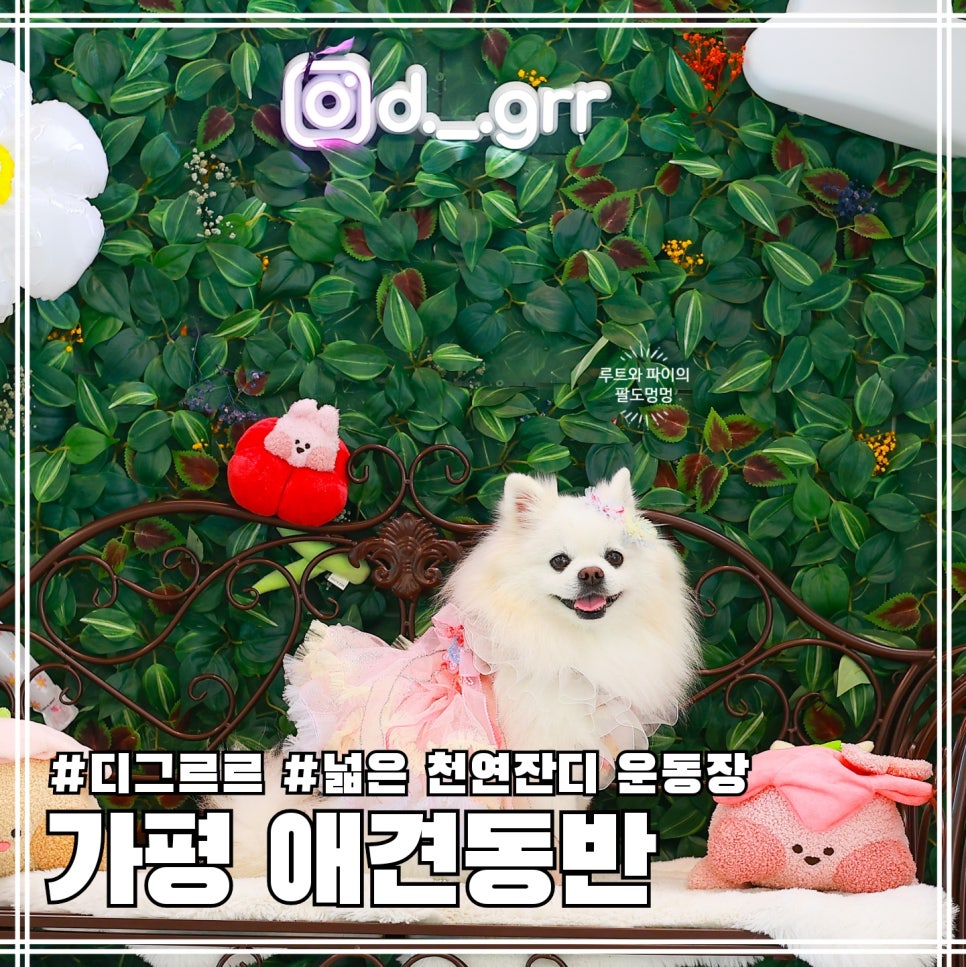디그르르 이미지